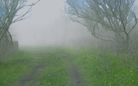 Fog sample frame 7